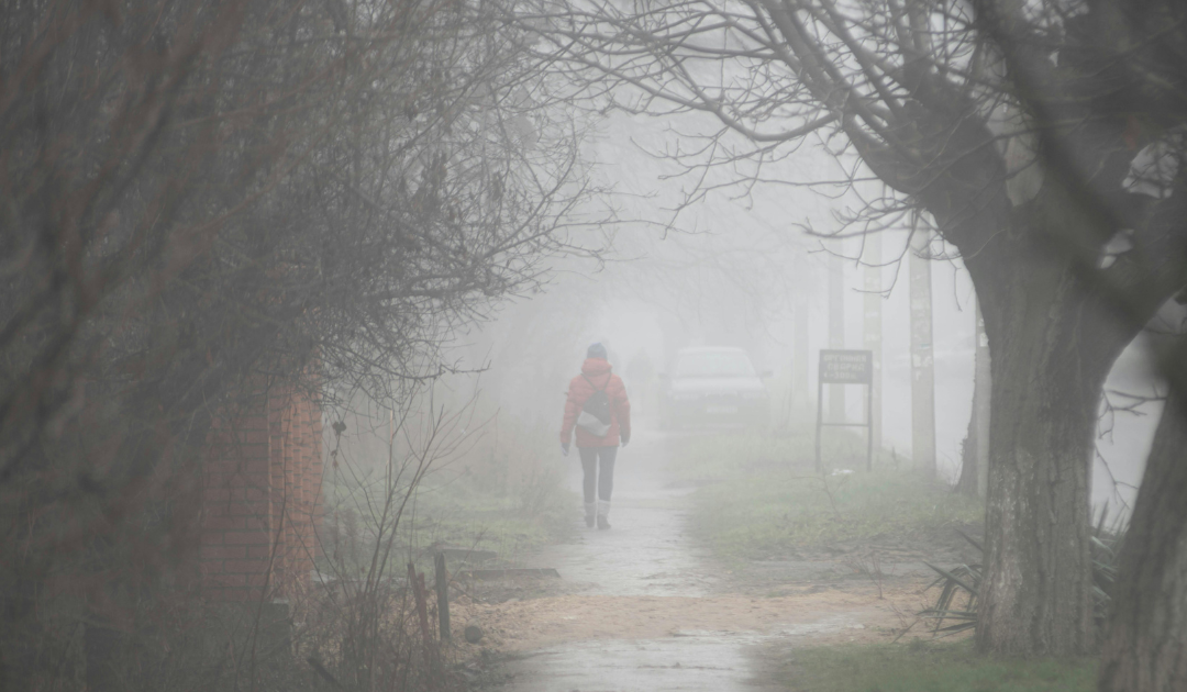The Spleen and the Mental Load: Why Your Thoughts Are Costing You Your Energy