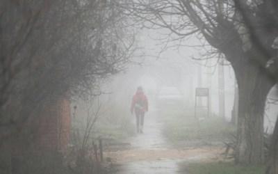 The Spleen and the Mental Load: Why Your Thoughts Are Costing You Your Energy